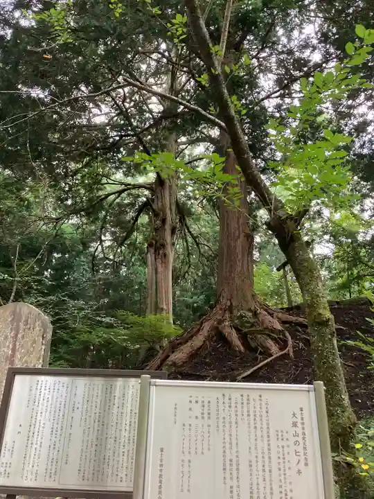 大塚丘(山梨県)