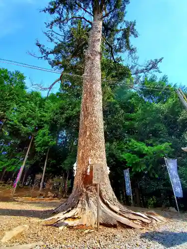 滑川神社 - 仕事と子どもの守り神の自然