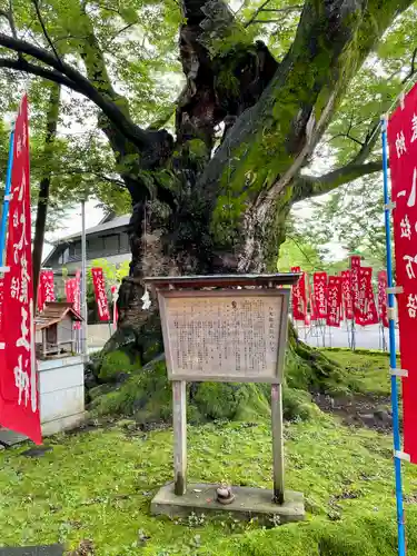 秩父今宮神社(埼玉県)