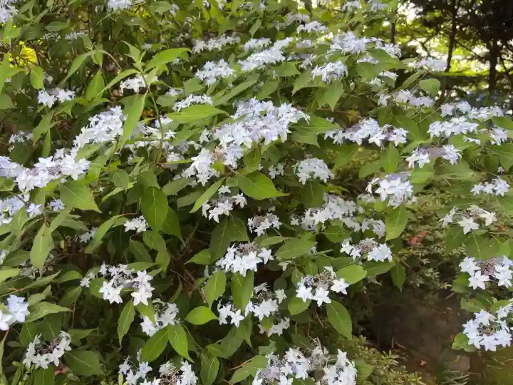 慈雲寺(長野県)