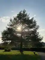 鞆江神社(明地)(愛知県)