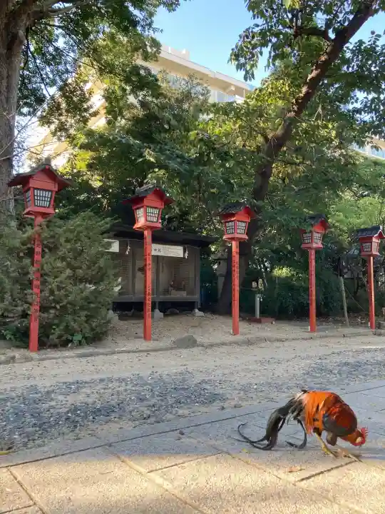 助松神社(大阪府)