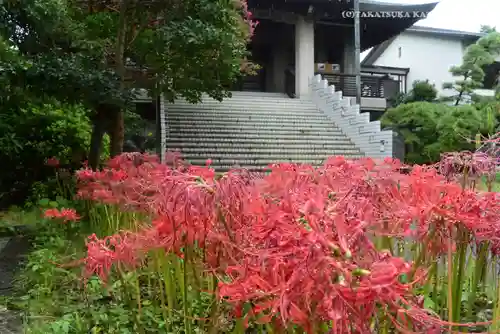 宝蔵院(東京都)