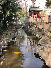 富岡八幡宮の庭園