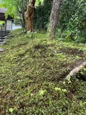安楽寺(京都府)