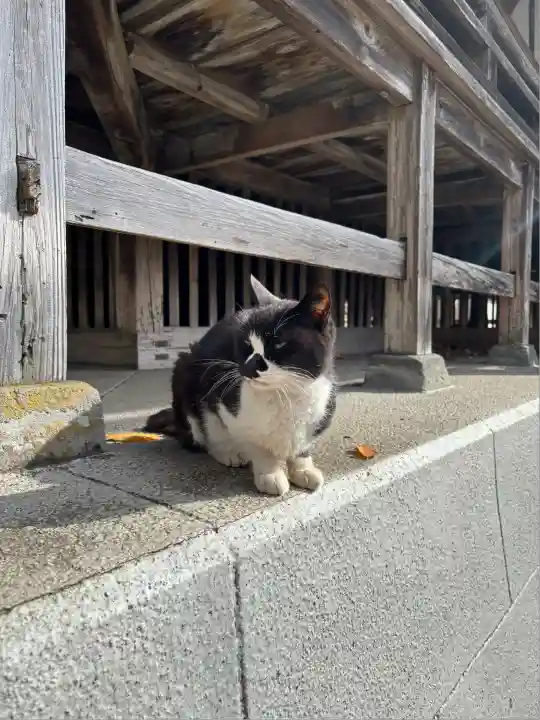 奥氷川神社(東京都)