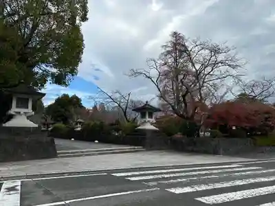 富士山本宮浅間大社(静岡県)