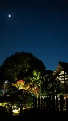 妙覺寺（妙覚寺）(京都府)