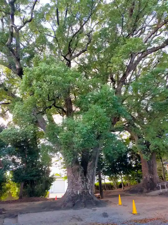 飯野神社(三重県)