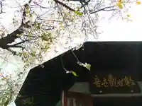 宗慶寺(東京都)