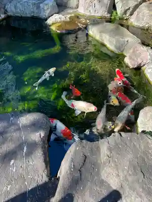 甚行寺(神奈川県)