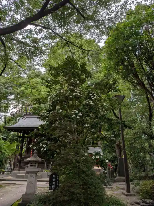 熊野神社(東京都)