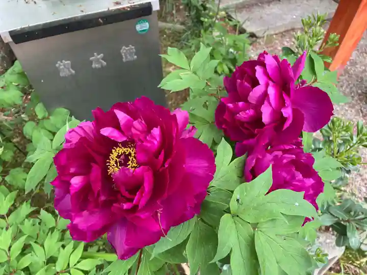 元興寺(奈良県)