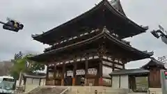 仁和寺の山門