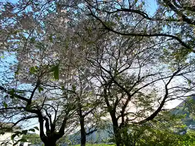 天神宮(伝河原氏屋敷跡)の自然