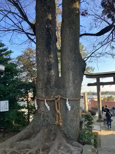 比々多神社(神奈川県)