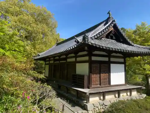 観心寺の{uncategorized: "未分類", other: "その他", undefined: "問題あり", building: "その他建物", grave: "お墓", sacred_gate: "鳥居", guardian: "狛犬", statue: "像", buddha: "仏像", history: "歴史", nature: "自然", garden: "庭園", animal: "動物", pagoda: "塔", temizu: "手水舎", mountain_gate: "山門・神門", sanctuary: "本殿・本堂", subordinate: "末社・摂社", art: "芸術", scenery: "景色", jizo: "地蔵", ema: "絵馬", goshuin: "御朱印", omikuji: "おみくじ", items: "授与品その他", amulet: "お守り", goshuincho: "御朱印帳", eats: "食事", festival: "お祭り", votive_dance: "神楽", shichigosan: "七五三参", wedding: "結婚式", experience: "体験その他", initially: "初詣", around: "周辺", anti_infection: "感染症対策"}