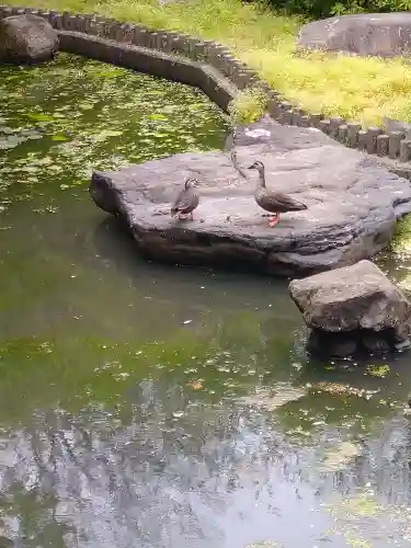 城山稲荷神社の庭園