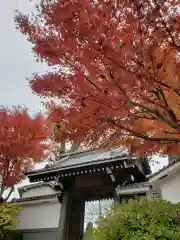 神足寺の山門