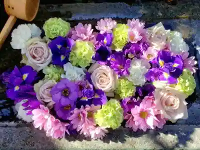 本郷氷川神社(東京都)