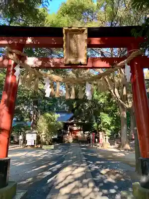 氷川女體神社(埼玉県)