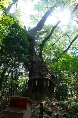 熱田神宮のその他建物