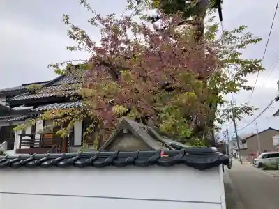 宝塔寺の{uncategorized: "未分類", other: "その他", undefined: "問題あり", building: "その他建物", grave: "お墓", sacred_gate: "鳥居", guardian: "狛犬", statue: "像", buddha: "仏像", history: "歴史", nature: "自然", garden: "庭園", animal: "動物", pagoda: "塔", temizu: "手水舎", mountain_gate: "山門・神門", sanctuary: "本殿・本堂", subordinate: "末社・摂社", art: "芸術", scenery: "景色", jizo: "地蔵", ema: "絵馬", goshuin: "御朱印", omikuji: "おみくじ", items: "授与品その他", amulet: "お守り", goshuincho: "御朱印帳", eats: "食事", festival: "お祭り", votive_dance: "神楽", shichigosan: "七五三参", wedding: "結婚式", experience: "体験その他", initially: "初詣", around: "周辺", anti_infection: "感染症対策"}