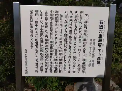 信社王神社(福井県)