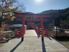 勝尾寺の鳥居