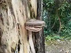 酒解神社(三重県)