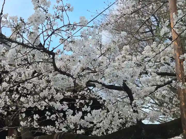 靖國神社(東京都)