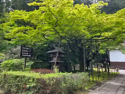 北口本宮冨士浅間神社(山梨県)