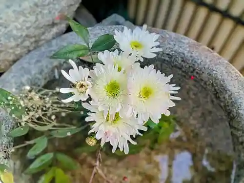 高砂神社(大阪府)