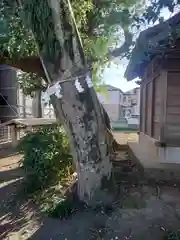 三王三柱神社(神奈川県)