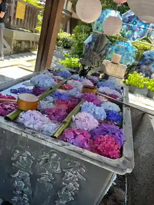 柳谷観音　楊谷寺(京都府)