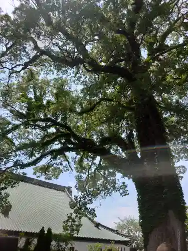 時宗総本山 遊行寺（正式：清浄光寺）(神奈川県)