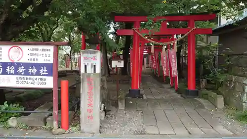 於菊稲荷神社の鳥居