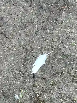 五所駒瀧神社(茨城県)