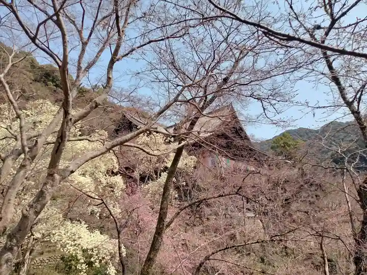 長谷寺(奈良県)