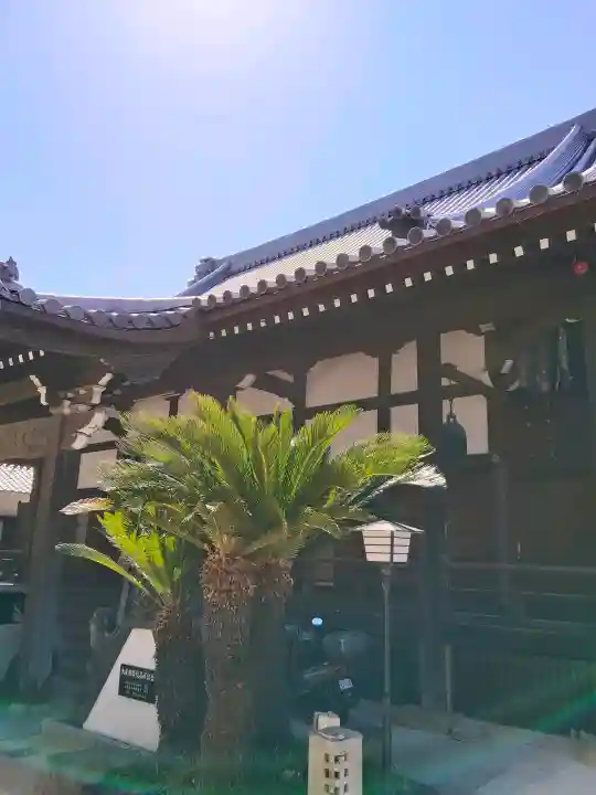 因念寺の{uncategorized: "未分類", other: "その他", undefined: "問題あり", building: "その他建物", grave: "お墓", sacred_gate: "鳥居", guardian: "狛犬", statue: "像", buddha: "仏像", history: "歴史", nature: "自然", garden: "庭園", animal: "動物", pagoda: "塔", temizu: "手水舎", mountain_gate: "山門・神門", sanctuary: "本殿・本堂", subordinate: "末社・摂社", art: "芸術", scenery: "景色", jizo: "地蔵", ema: "絵馬", goshuin: "御朱印", omikuji: "おみくじ", items: "授与品その他", amulet: "お守り", goshuincho: "御朱印帳", eats: "食事", festival: "お祭り", votive_dance: "神楽", shichigosan: "七五三参", wedding: "結婚式", experience: "体験その他", initially: "初詣", around: "周辺", anti_infection: "感染症対策"}