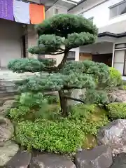 松庵寺(岩手県)