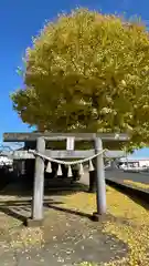 清水八幡宮(埼玉県)