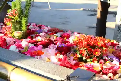 三津厳島神社(愛媛県)