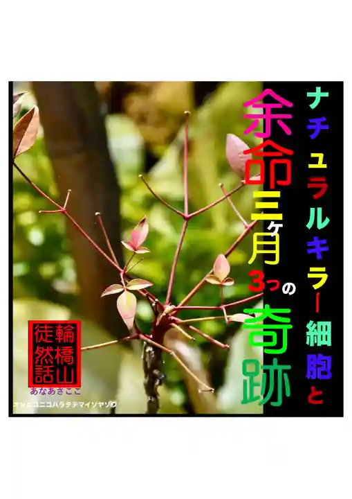 耕田院(山形県)