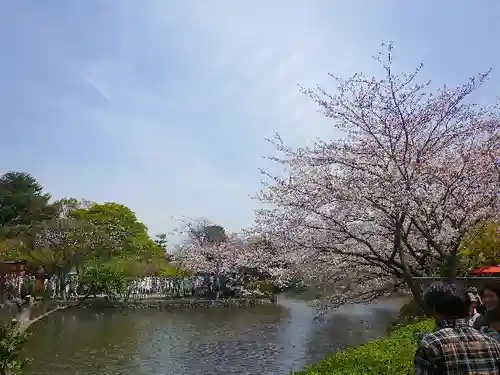 鶴岡八幡宮の庭園