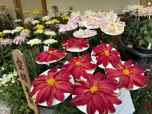 美奈宜神社(福岡県)