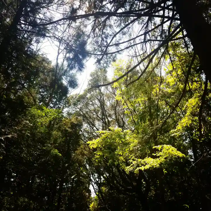 鹿島神宮の自然