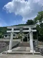 氷川神社の{uncategorized: "未分類", other: "その他", undefined: "問題あり", building: "その他建物", grave: "お墓", sacred_gate: "鳥居", guardian: "狛犬", statue: "像", buddha: "仏像", history: "歴史", nature: "自然", garden: "庭園", animal: "動物", pagoda: "塔", temizu: "手水舎", mountain_gate: "山門・神門", sanctuary: "本殿・本堂", subordinate: "末社・摂社", art: "芸術", scenery: "景色", jizo: "地蔵", ema: "絵馬", goshuin: "御朱印", omikuji: "おみくじ", items: "授与品その他", amulet: "お守り", goshuincho: "御朱印帳", eats: "食事", festival: "お祭り", votive_dance: "神楽", shichigosan: "七五三参", wedding: "結婚式", experience: "体験その他", initially: "初詣", around: "周辺", anti_infection: "感染症対策"}