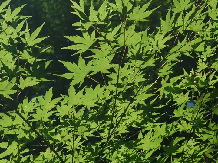 無量光寺(神奈川県)