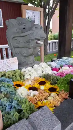 新川皇大神社の手水